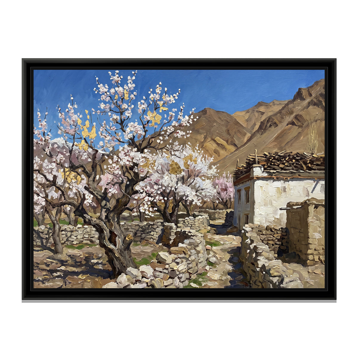 Apricot Blossom in a Ladakhi Orchard, canvas print in a floater frame on a plain white background