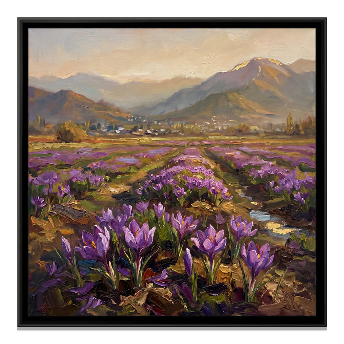 Saffron Fields in Bloom, canvas print in a floater frame on a plain white background